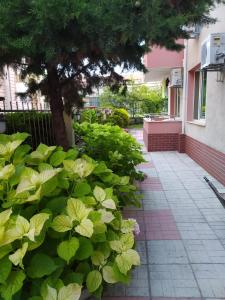 Apartment in Complex TARA