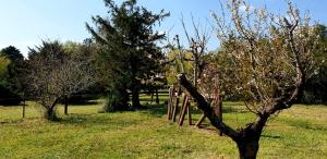 B&B / Chambres d'hotes Mas Tareau la Goyaw : photos des chambres