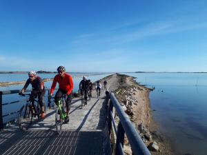 Appartements Appt T2, Piscine, la Plage a 130m! Parking prive clos, Lave-linge, Lave-vaisselle, Draps, Linge et Menage inclus! : photos des chambres