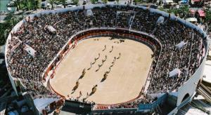 Appartements Appt T2, Piscine, la Plage a 130m! Parking prive clos, Lave-linge, Lave-vaisselle, Draps, Linge et Menage inclus! : photos des chambres