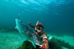 Appartements Appt T2, Piscine, la Plage a 130m! Parking prive clos, Lave-linge, Lave-vaisselle, Draps, Linge et Menage inclus! : photos des chambres