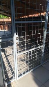 Penzion Kometa - rodinný pobyt u Novomlýnských jezer s komfortem, restaurací a dětskou zónou