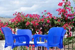 Villa Kela - 卡萨米尔