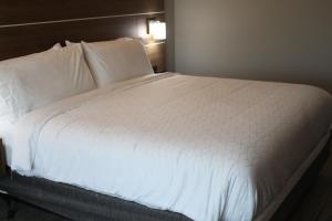 Standard King Room with Roll-In Shower - Mobility Access room in Holiday Inn Express & Suites - Enterprise an IHG Hotel