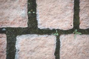 Sfendamos Wood Village