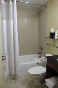 Standard King Room room in Plaza Resort & Spa - Daytona Beach