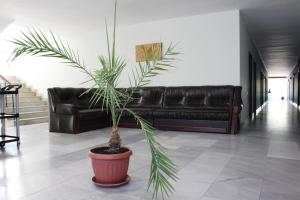 Park Hotel Ivailo