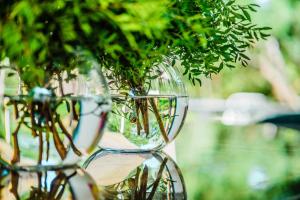 Villas Villa JetSet Saint-Tropez : photos des chambres