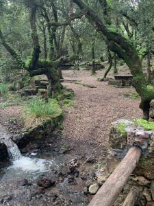 Agriturismo Terra Noas