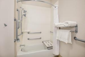 Holiday Inn Express Hotel & Suites Dallas - Grand Prairie I-20 by IHG