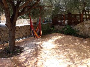 Affittacamere Il FIORE img18