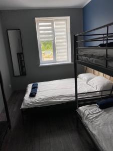 Budget Double or Twin Room room in Hostel Vodolaz