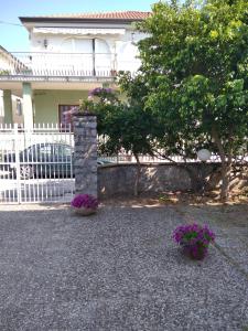 Casa mia - Marina di Ascea -