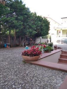 Casa mia - Marina di Ascea -
