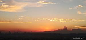 1512 Nature Feels in