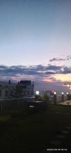 1512 Nature Feels in