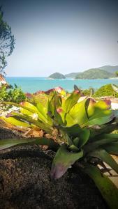 chalés frente à praia