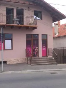 Cazare REGIM HÔTELIER ZĂRNEŞTI - 泽尔内什蒂