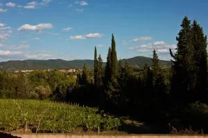 Apt Alice - Apartment in the Vineyards - Strada