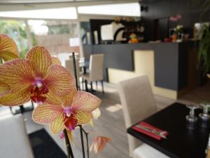 Hotels Hotel et Studios Le Marina Baie de La Baule : photos des chambres