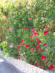 Eden Beach Hotel Chania Greece