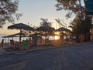 Camping Drepanos Epirus Greece