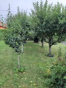 Becze Vanda kulcsosház