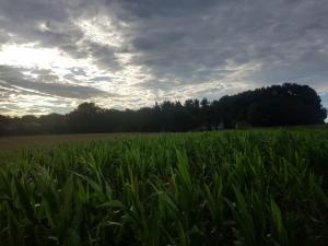 La casa del tio Antonio