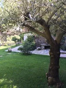 Number 10 Locanda B&B - Belvedere Langhe