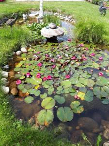 Apartment Haus Dengg