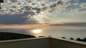 Villa Byala Grape House