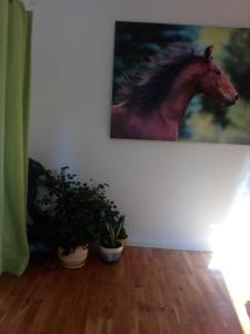 Noclegi Po Rosie