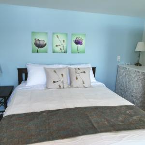 Knotty Pine Ocean Front Suite - Adults Only