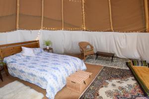 Dragonfly Lodge Ifold Apartment & Alpaca My Tipi Glamping