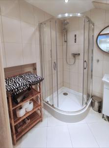 Comfortable Studio Old TownNew City