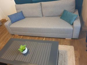 Appartements Appart avec SPA privatif, Morlaix centre ville : photos des chambres