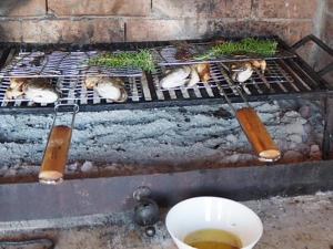 "Art House" Rovinj-Holiday Home Ask Us About Special Offers for Your Future Visits