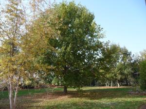 Casa Flosa Room & Breakfast