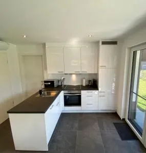 Vis-Ahr-Vis Country - 辛齐希