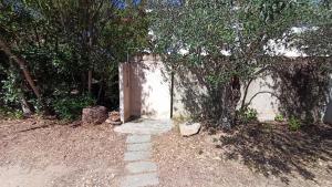 Sa Prama Beach img24