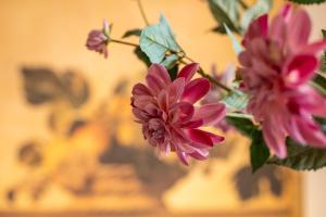 Vacanze al Mare Patrizias Sweet Home