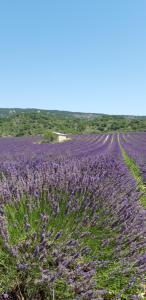 Maisons de vacances Gites Les Costoliers : photos des chambres