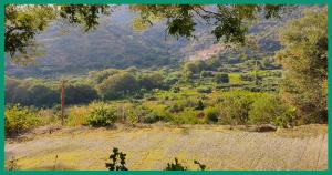 Kampos View Ikaria Ikaria Greece