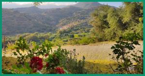 Kampos View Ikaria Ikaria Greece