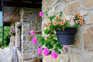 La Xamoca Apartamentos Rurales