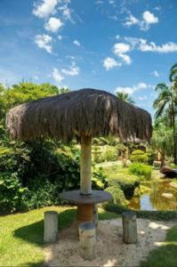 Sítio Nada é Por Acaso