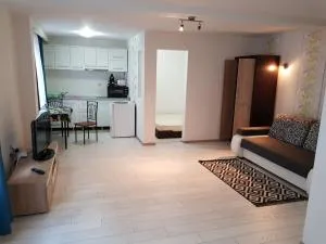 Apartament 2 Central - 穆列什河畔圣乔治乌