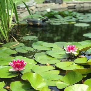 Family Complex EkoKomfort