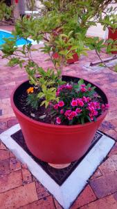 Welterusten Guesthouse