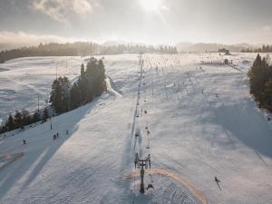 Czeremcha - Ostoja Bukowinki